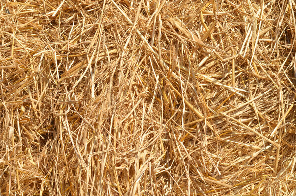 Струйная структура крупным планом и фоном
.