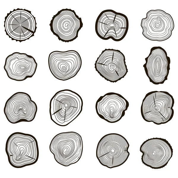 Ağaç halkaları küme kesme gövde gördüm. Vektör