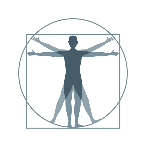 Cartoon Silhouette Vitruvian Man. Vector — Stock Vector