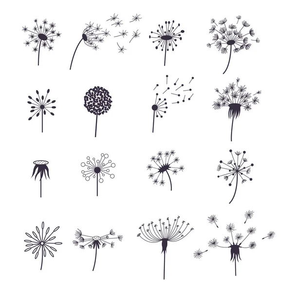 ふわふわタンポポの花と種子のセットです。ベクトル — ストックベクタ