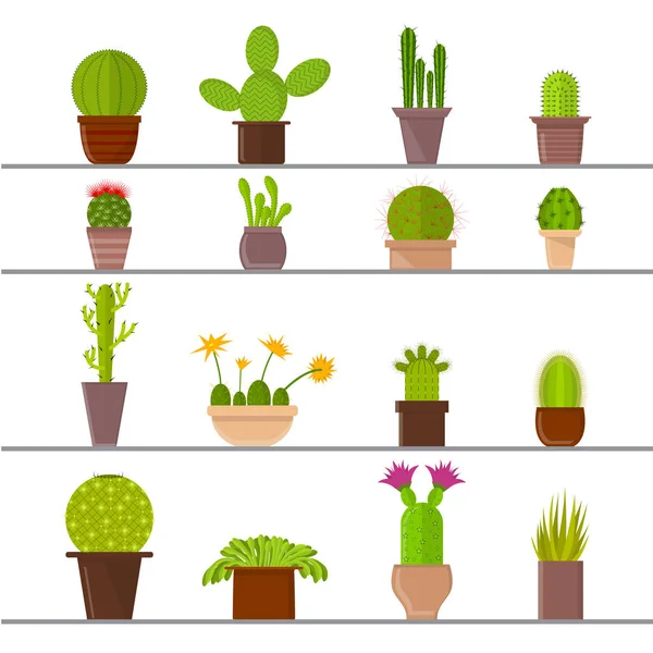 Kreskówka Kaktus roślin w doniczkach. Wektor — Wektor stockowy