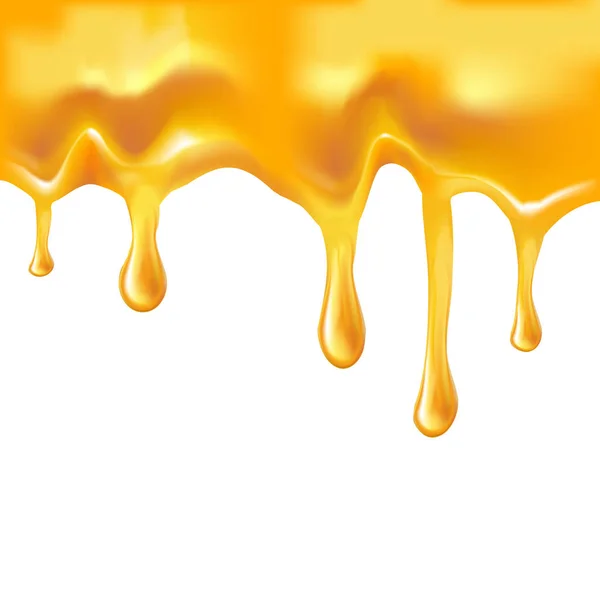 Honey Melted Background. Vector — Stock Vector