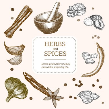 Baharat afiş kart el çizmek kroki. Vektör
