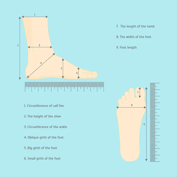 Tamaño del zapato de pies humanos de medida cuadrada. Vector — Archivo Imágenes Vectoriales