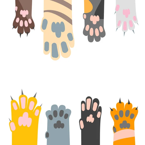 Caricatura diferente gato pata tarjeta fondo. Vector — Vector de stock