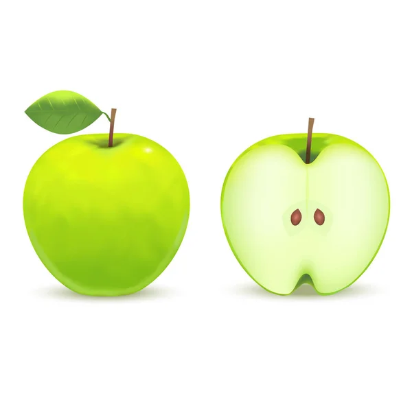 Realistic Green Apple. Vector — Stock Vector