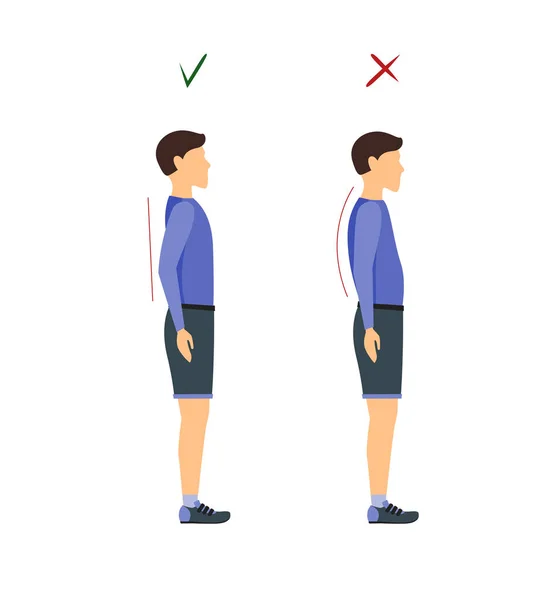 Postura corretta o errata in piedi e a piedi. Vettore — Vettoriale Stock
