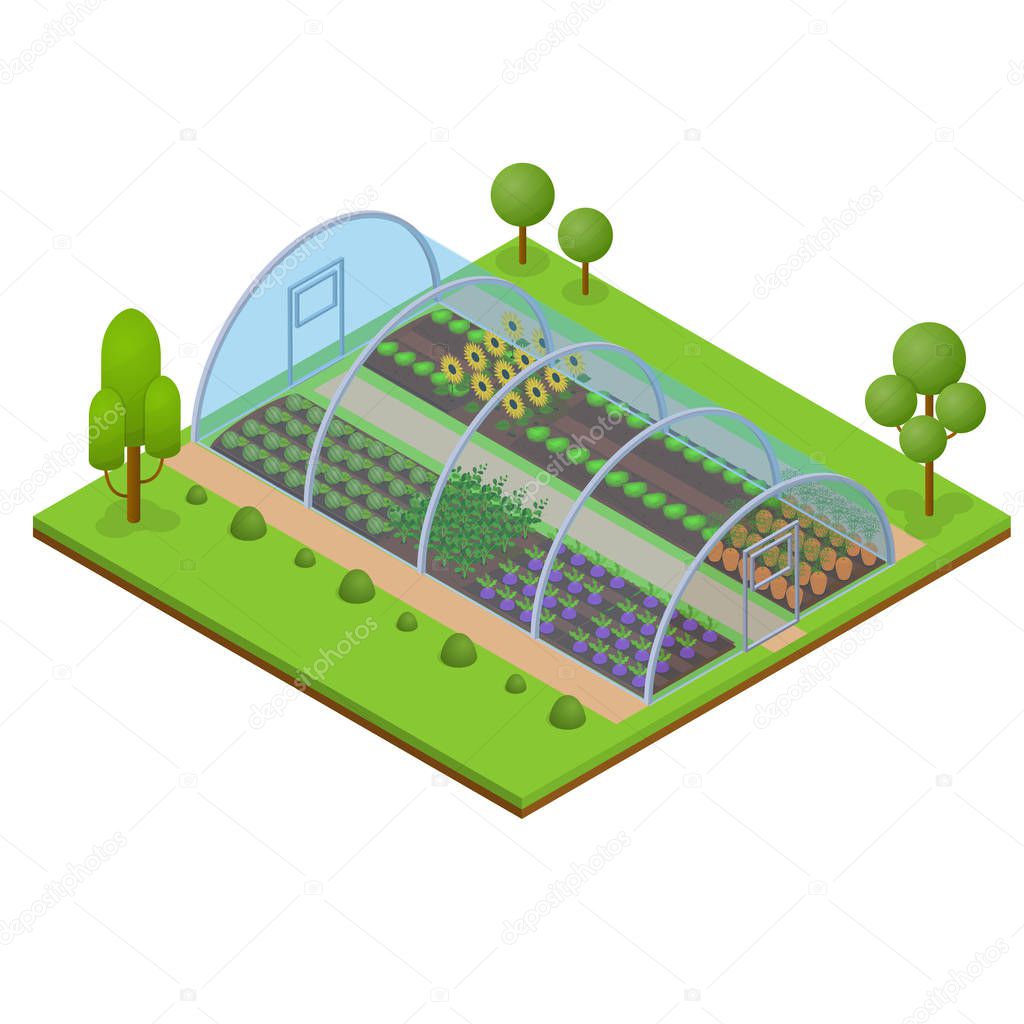Greenhouse Isometric View. Vector