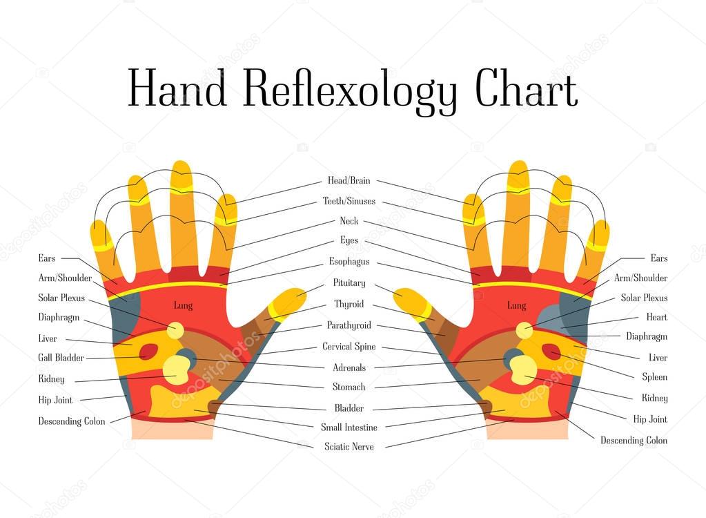 Cartoon Reflexology Hands Alternative Medicine. Vector