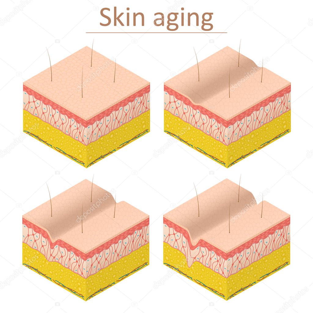 Skin Aging Set Isometric View. Vector
