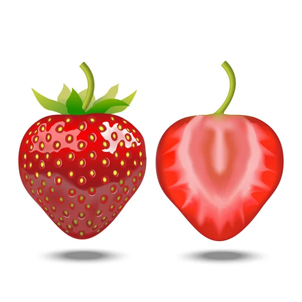 Realistic Detailed Strawberry Whole and a Half. Vector — Stock Vector