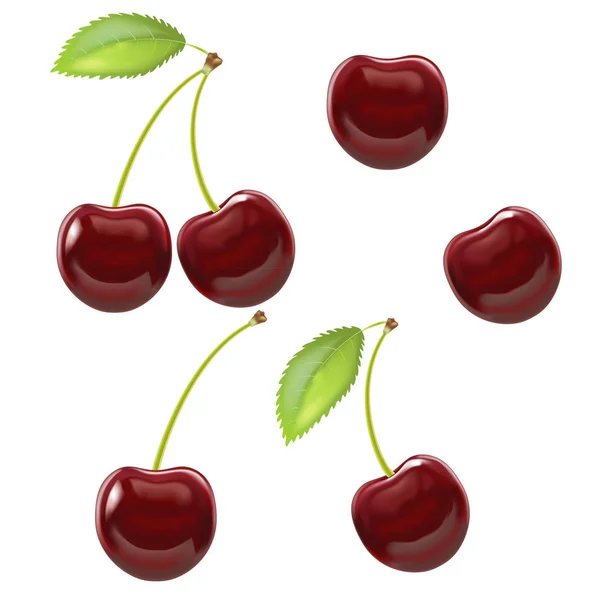 Realistic Detailed Ripe Red Berry Cherry. Vector — Stock Vector