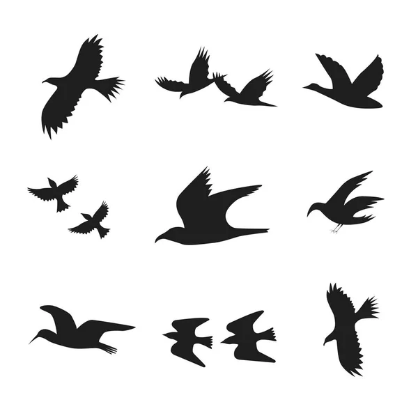 Silhouette Black Fly Flock of Birds (en inglés). Vector — Archivo Imágenes Vectoriales