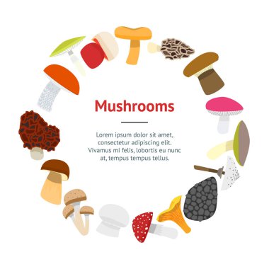 Karikatür mantar afiş kartı vektör