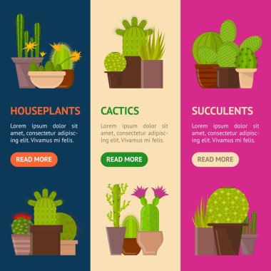Çizgi film Cactus bitki tencere afiş Vecrtical küme. Vektör