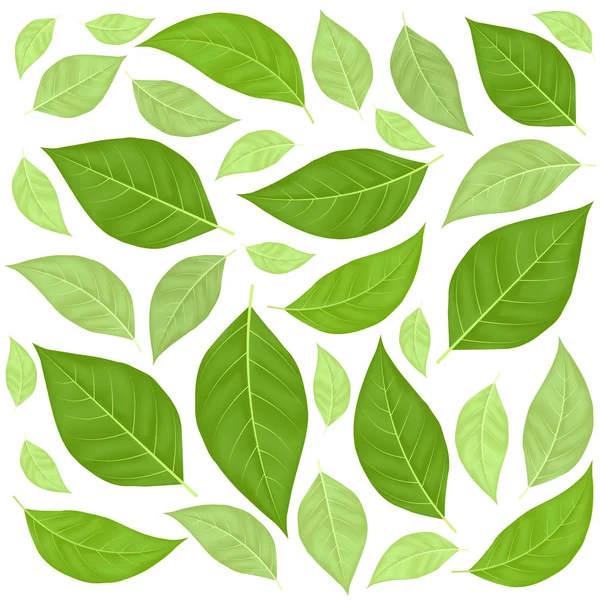 Green Leaves Pattern Background. Vector — Stock Vector