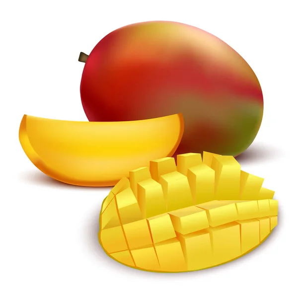 Realistické detailní ovoce Mango. Vektor — Stockový vektor