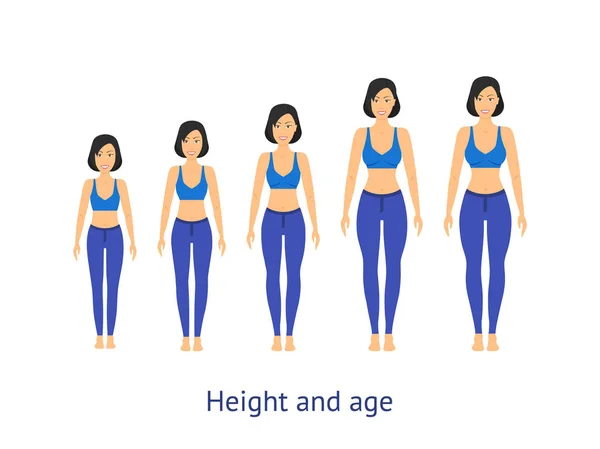 Ύψος και ηλικία στάδιο της ανάπτυξης από κορίτσι σε γυναίκα. Διάνυσμα — Διανυσματικό Αρχείο