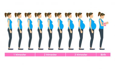 Çizgi film gebelik aşamaları ve doğum küme. Vektör