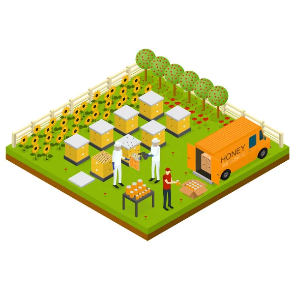 Beekeeping Apiary Farm Isometric Concept Isometric View. Vector — Stock Vector