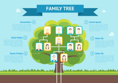 Çizgi film aile ağacı Infographic kartı Poster. Vektör