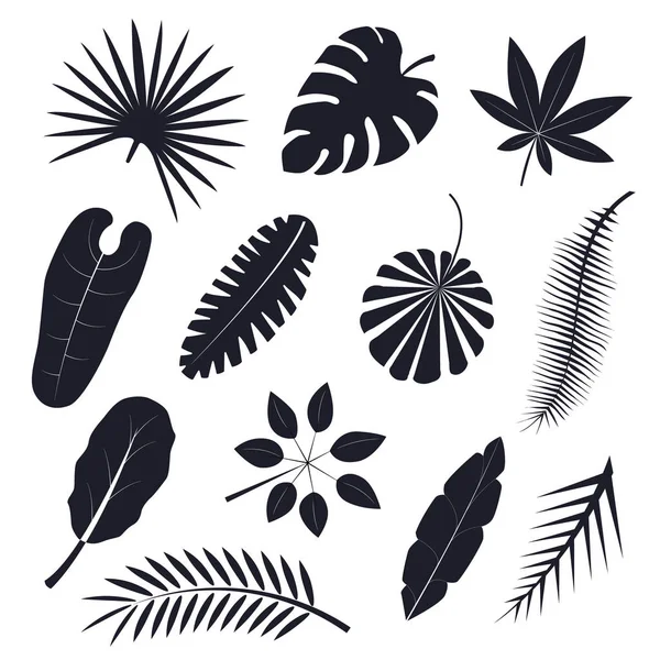 Tropische Palmenblätter setzen schwarze Silhouetten. Vektor — Stockvektor