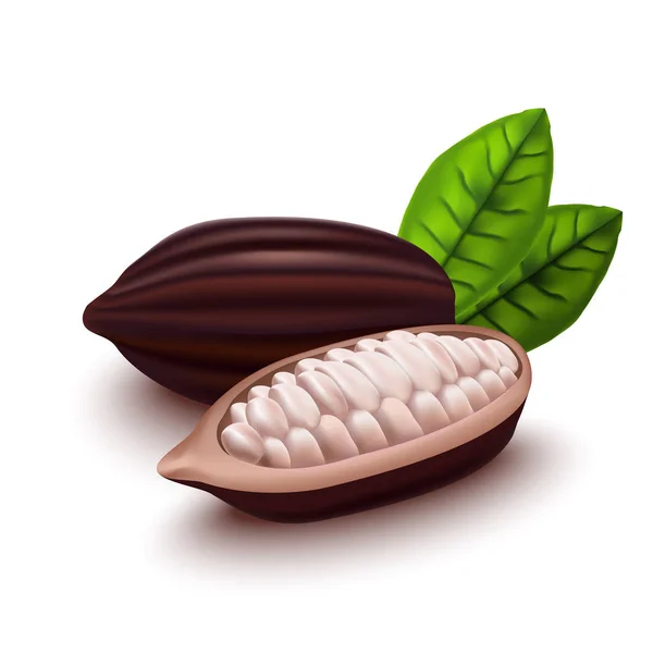 Conjunto realista de frijoles de cacao 3d. Vector — Archivo Imágenes Vectoriales