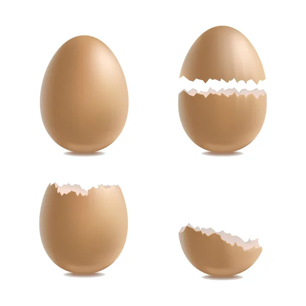 현실적인 3d 자세한 다양 한 근접 촬영 껍질 계란 세트. 벡터 — 스톡 벡터