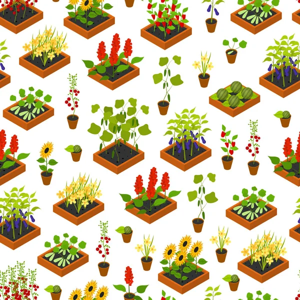 Plant Seedling Isometric View. Vecteur — Image vectorielle