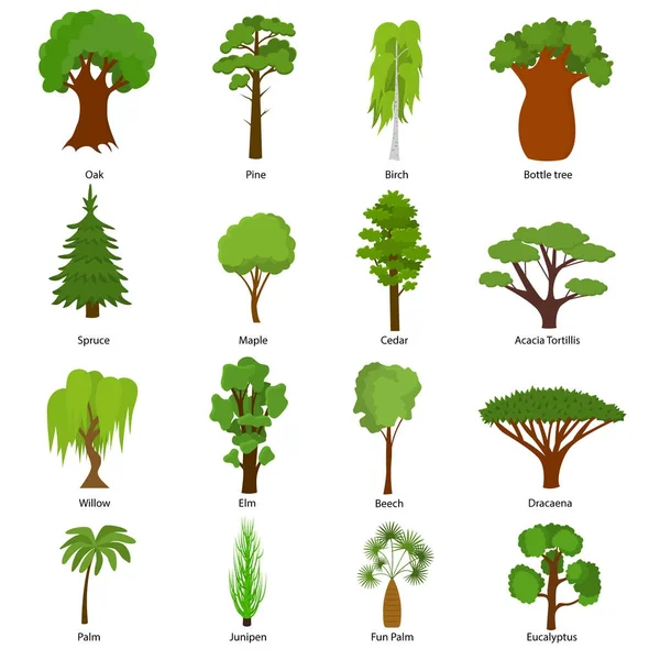 Olika gröna Tree typer ikoner Set. Vektor — Stock vektor