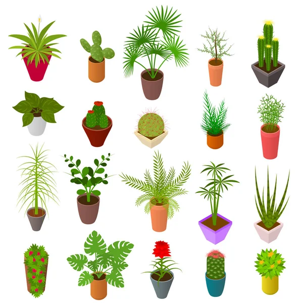 Plantes vertes en pot Set Icônes 3d vue isométrique. Vecteur — Image vectorielle