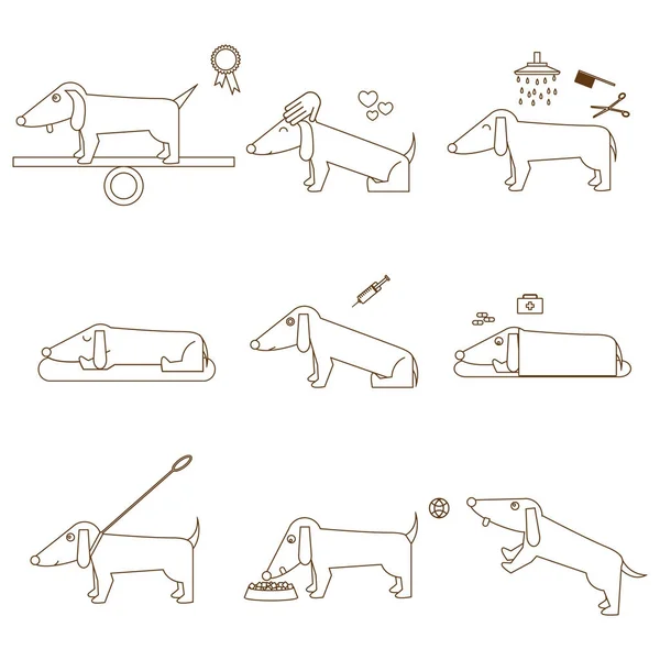 Set de cuidado de perros de línea delgada. Vector — Archivo Imágenes Vectoriales