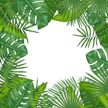 Bitkilerin gerçekçi detaylı yeşil yaprakları. Vektör