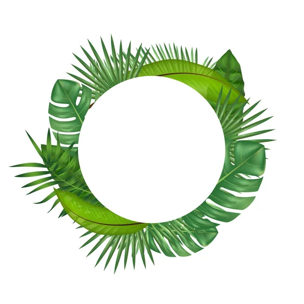 Реалистичные детализированные зеленые листья растений. Вектор — стоковый вектор