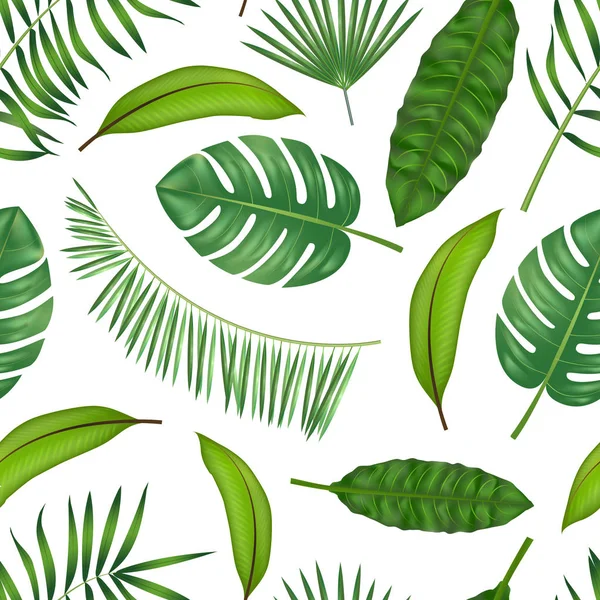 Patrón de fondo realista hojas verdes detalladas de plantas. Vector — Vector de stock