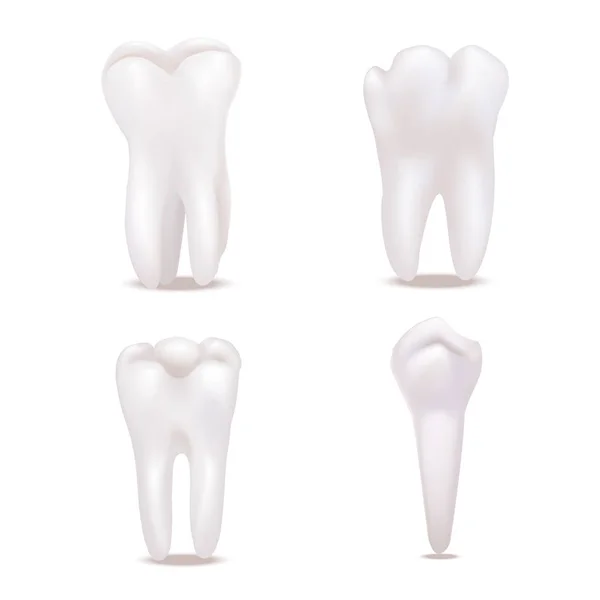 Ρεαλιστική λεπτομερείς 3d εικόνες λευκά και υγιή δόντια Set. Διάνυσμα — Διανυσματικό Αρχείο