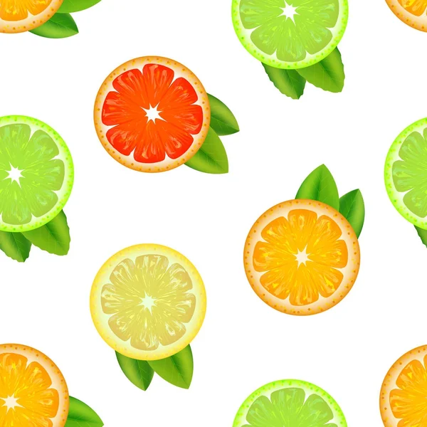 Realistické detailní citrusové pozadí vzorek. Vektor — Stockový vektor