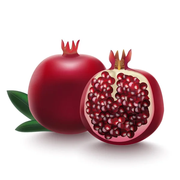 Realistic Detailed 3d Whole Pomegranate with Half Vector — Stock Vector