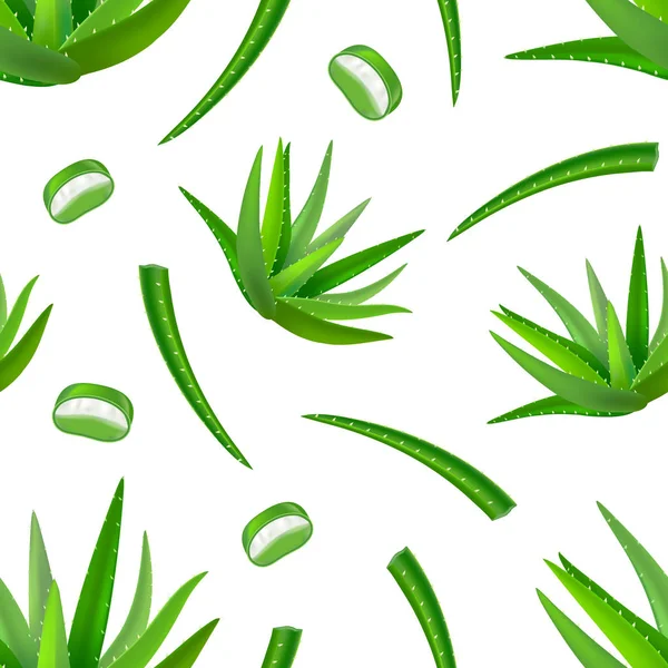 Realistic Detailed Aloe Vera Green Plant Seamless Pattern Background. Vector — Stock Vector