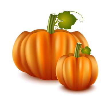 Gerçekçi detaylı 3d Pumpkins ayarlayın. Vektör