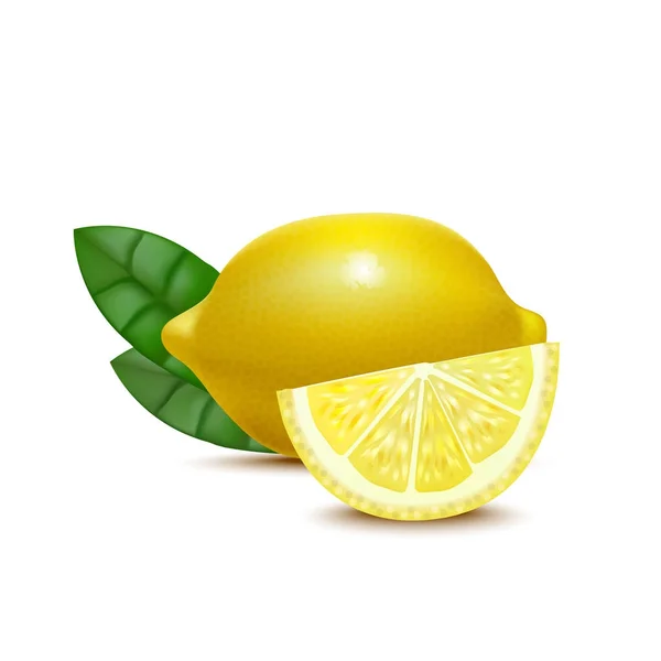 現実的な詳細な 3 d 全体レモンとスライス。ベクトル — ストックベクタ