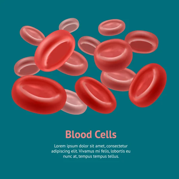 Cartel de tarjeta eritrocitaria de sangre realista. Vector — Vector de stock