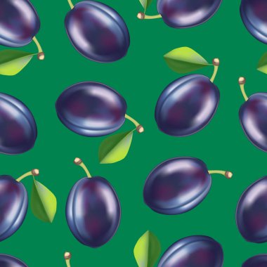 Gerçekçi detaylı meyve Erik Dikişsiz desen arka plan. Vektör