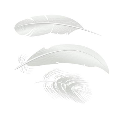 Gerçekçi detaylı 3d beyaz kuş tüyleri ayarlayın. Vektör