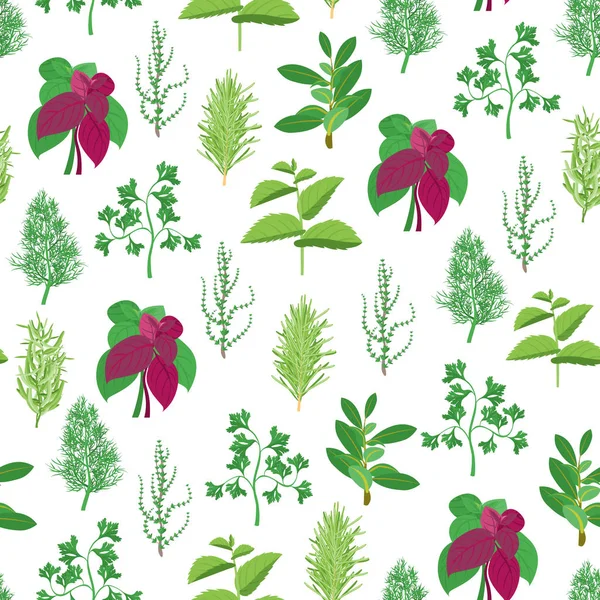 Herb Seamless Pattern Background. Vecteur — Image vectorielle