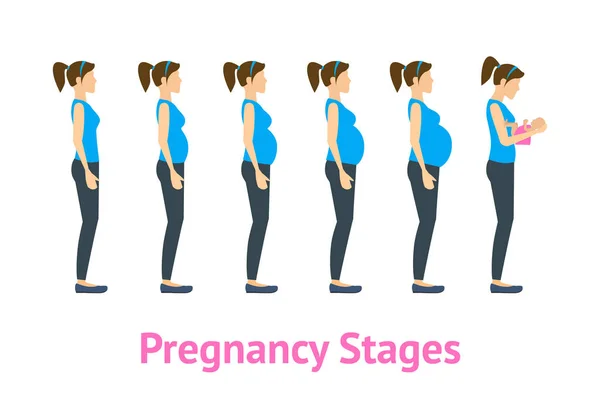 Cartoon zwangerschap etappes en geboorte Set. Vector — Stockvector
