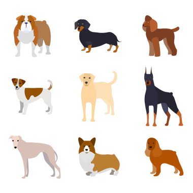 Çizgi film doğurmak-in köpek toplama simgeler. Vektör