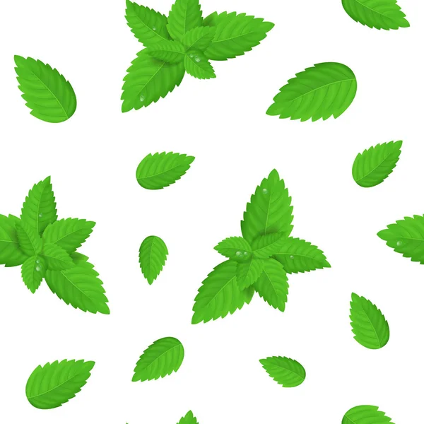 Détails réalistes vert frais feuille de menthe fond sans couture motif. Vecteur — Image vectorielle