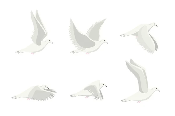 Cartoon White Dove Bird Set (en inglés). Vector — Vector de stock