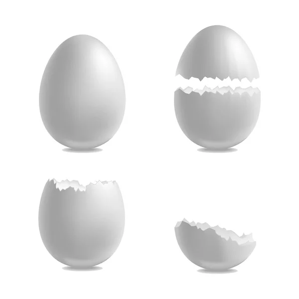 Ρεαλιστική 3d λεπτομερή λευκή Closeup κέλυφος των αυγών να ορίσετε. Διάνυσμα — Διανυσματικό Αρχείο